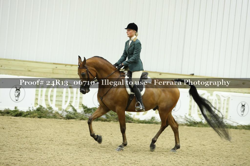 Proof 24R13_06710