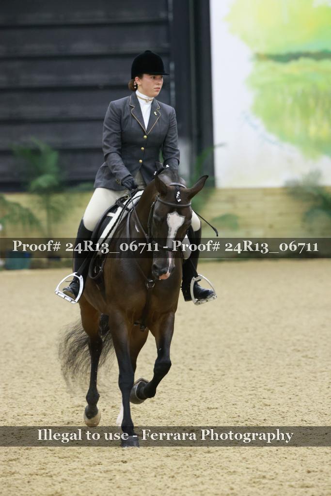 Proof 24R13_06711