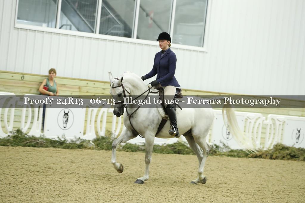 Proof 24R13_06713