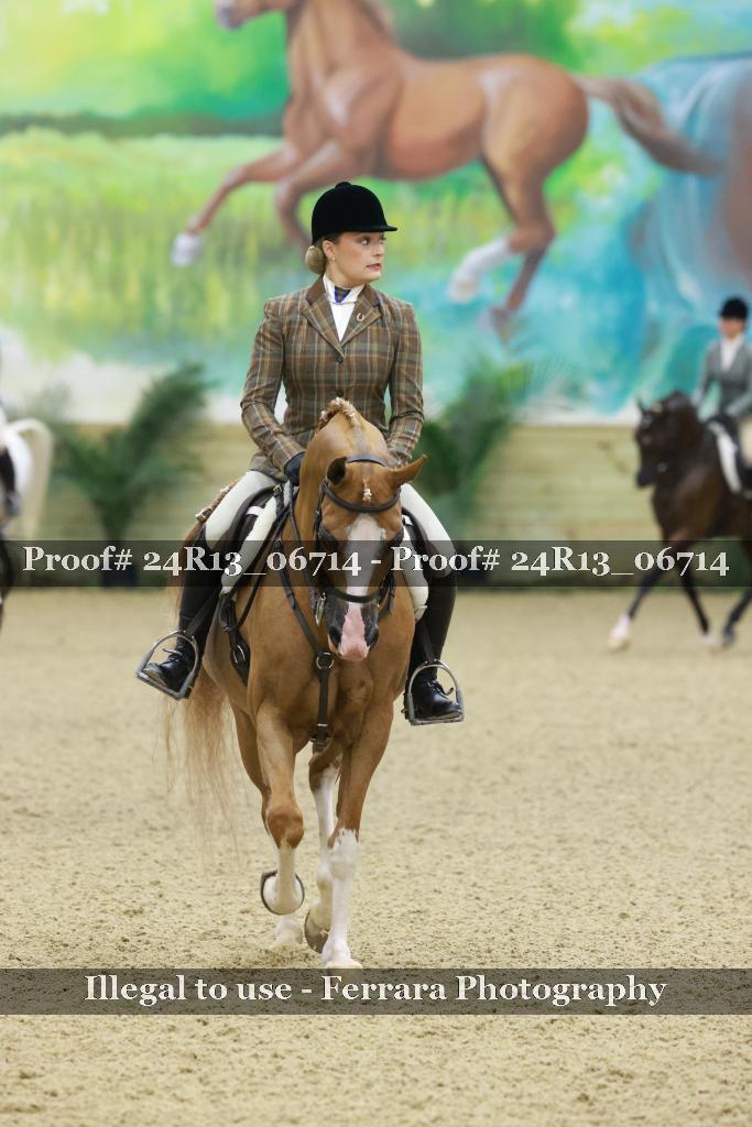 Proof 24R13_06714