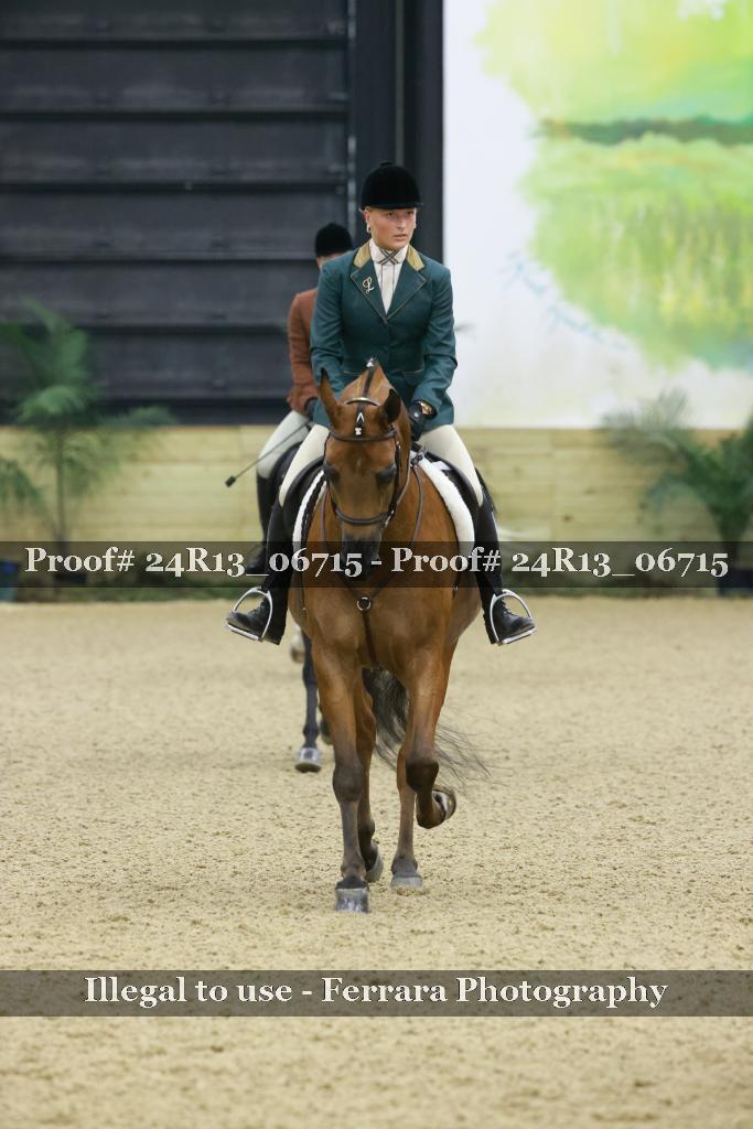 Proof 24R13_06715