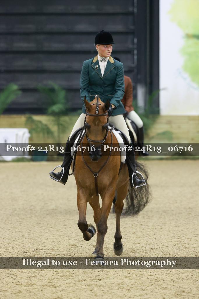 Proof 24R13_06716