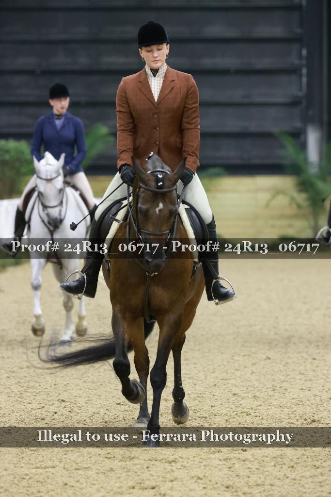 Proof 24R13_06717