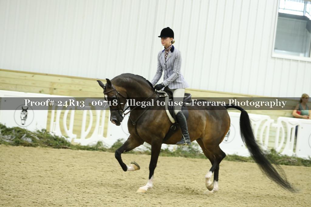 Proof 24R13_06718