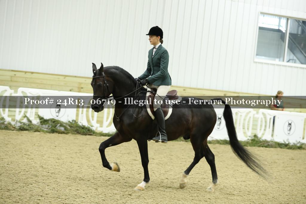 Proof 24R13_06719