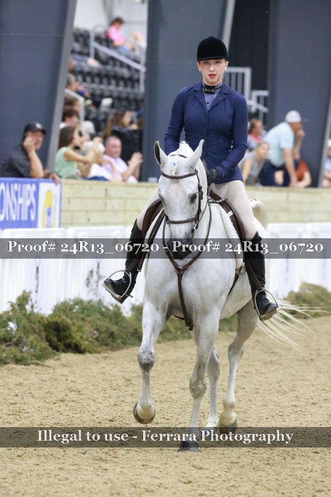 Proof 24R13_06720