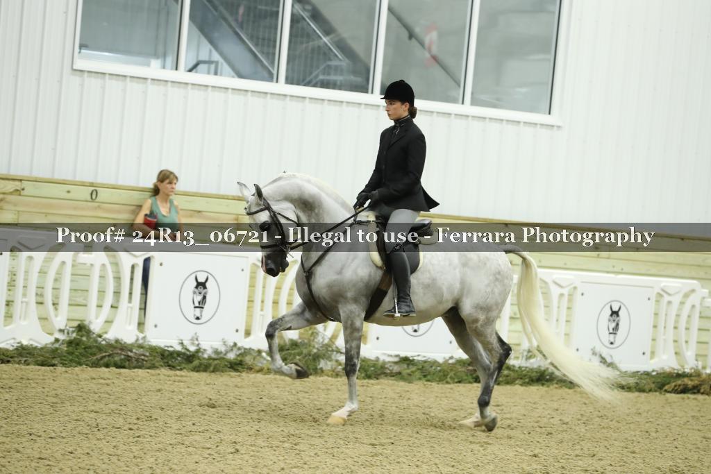 Proof 24R13_06721