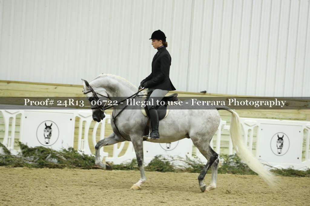 Proof 24R13_06722