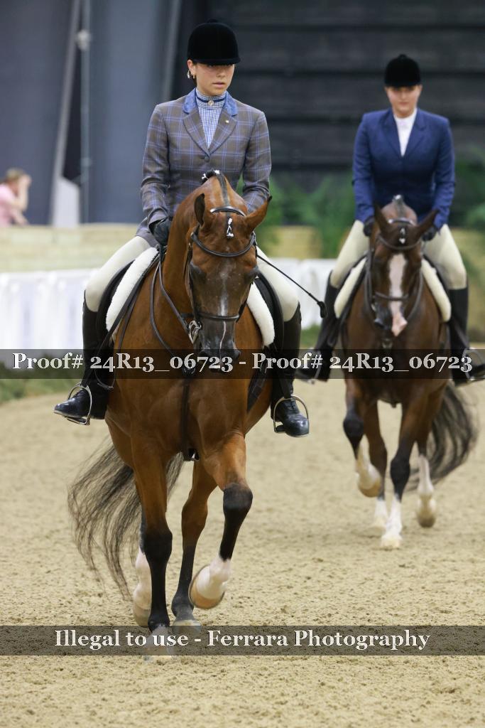 Proof 24R13_06723