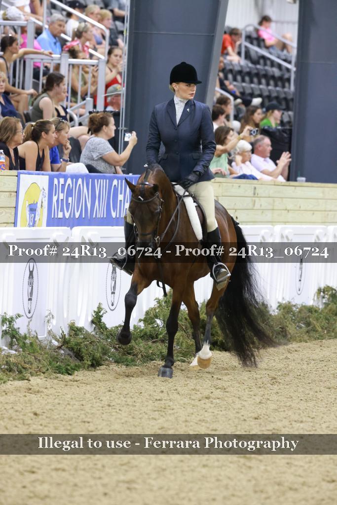 Proof 24R13_06724