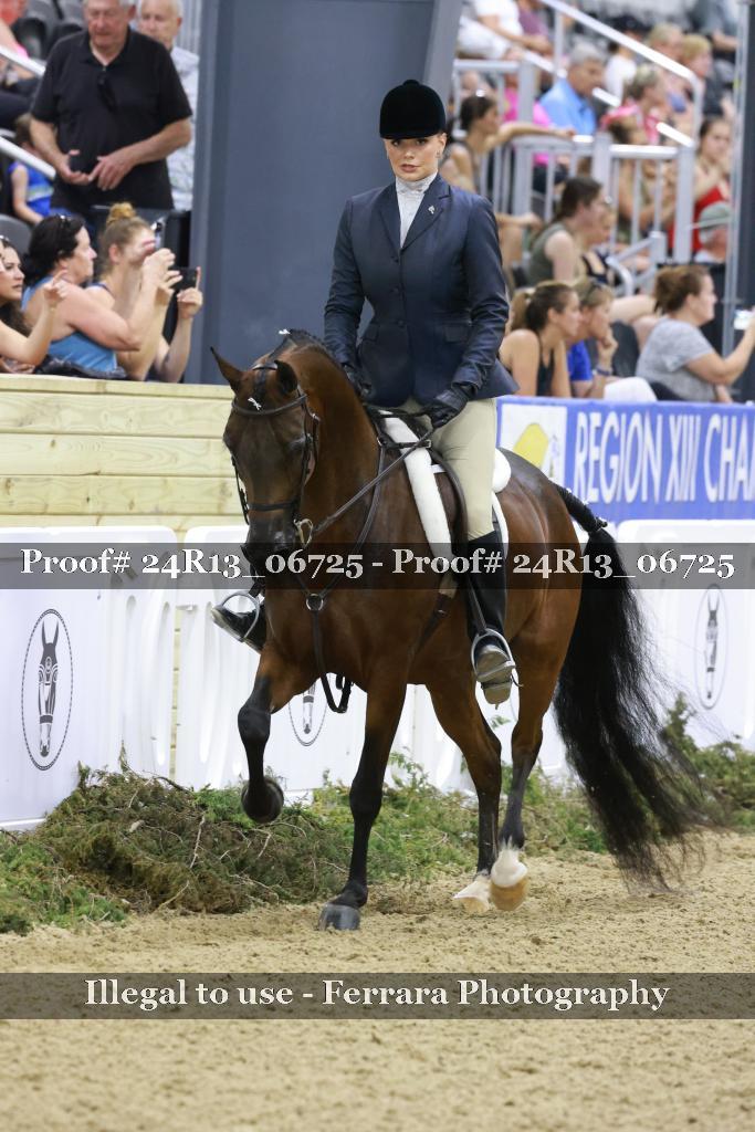 Proof 24R13_06725