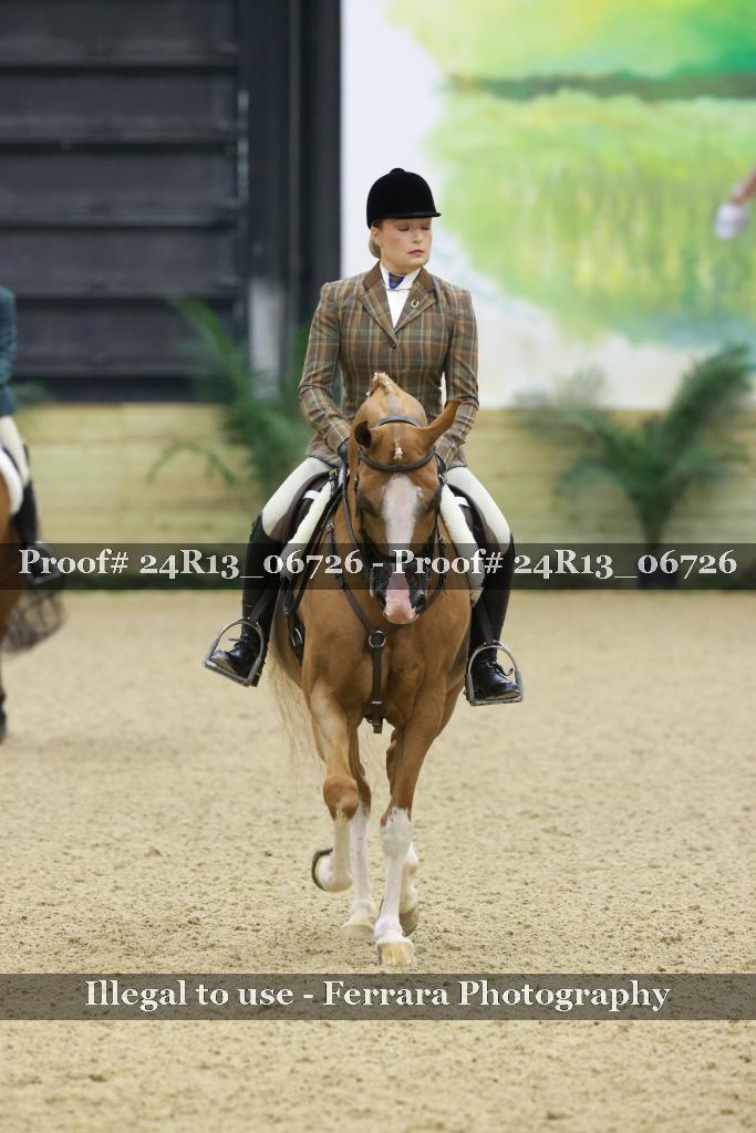Proof 24R13_06726