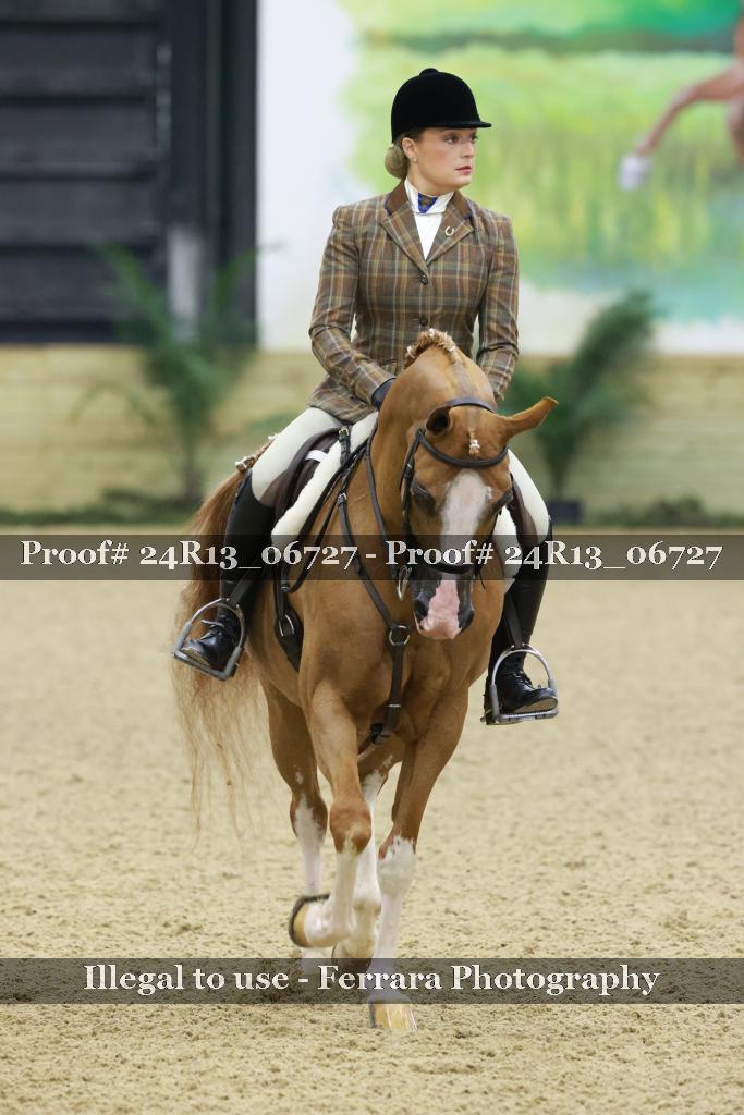 Proof 24R13_06727