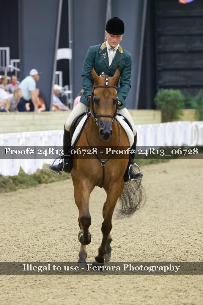 Proof 24R13_06728