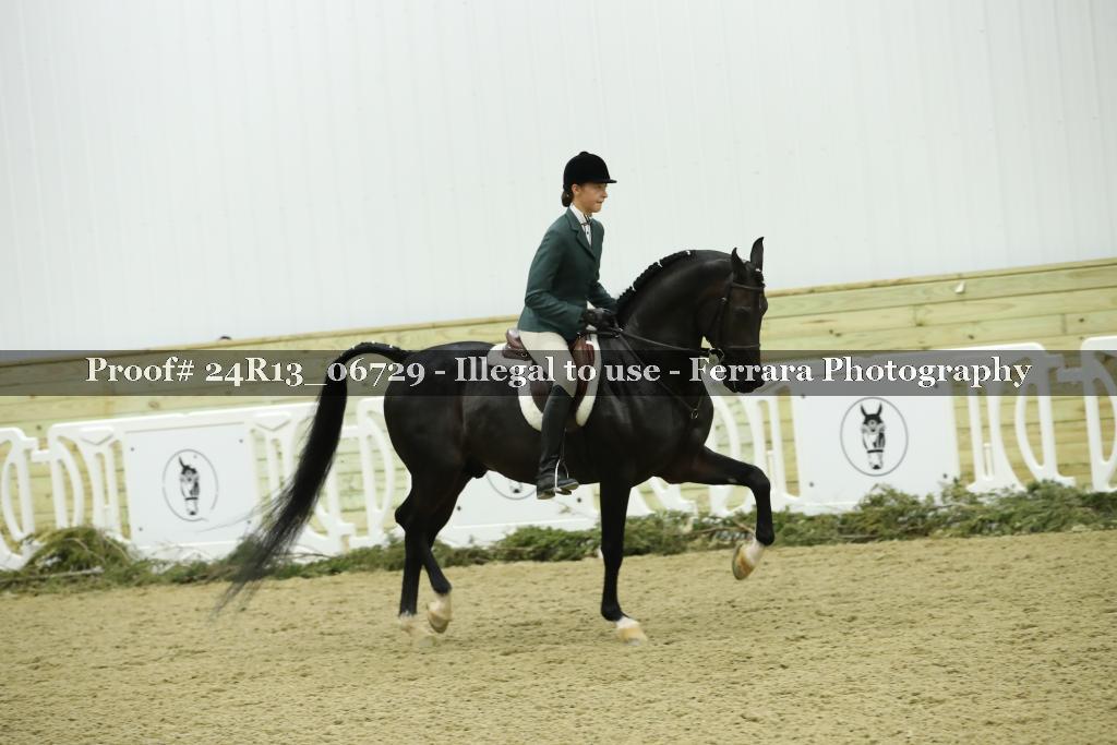 Proof 24R13_06729