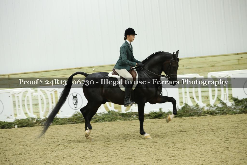 Proof 24R13_06730