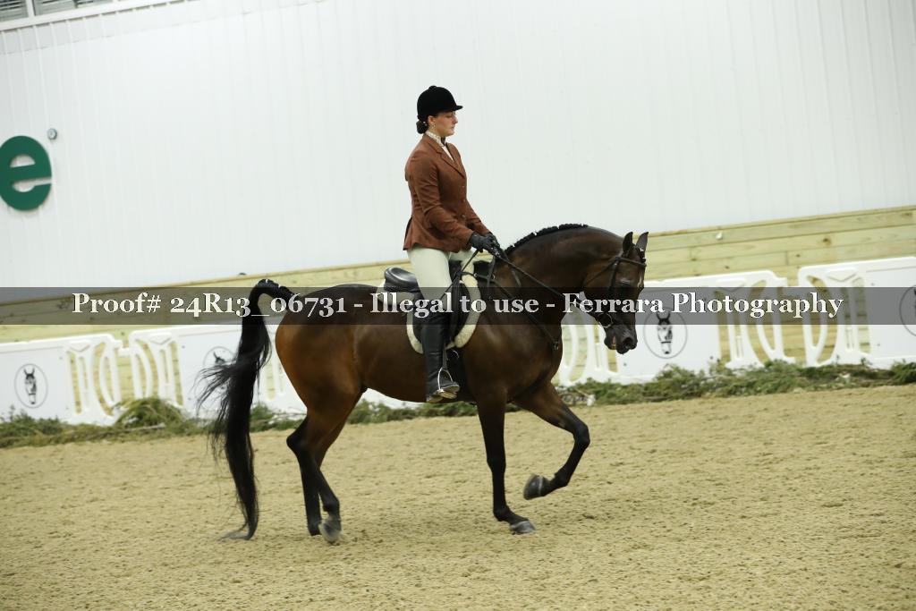 Proof 24R13_06731
