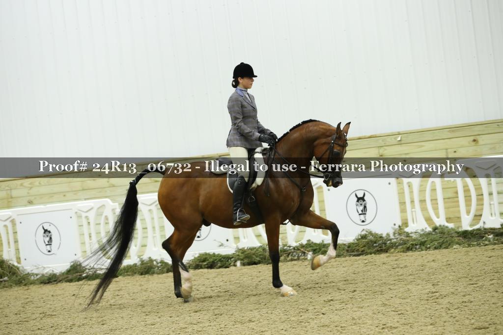Proof 24R13_06732
