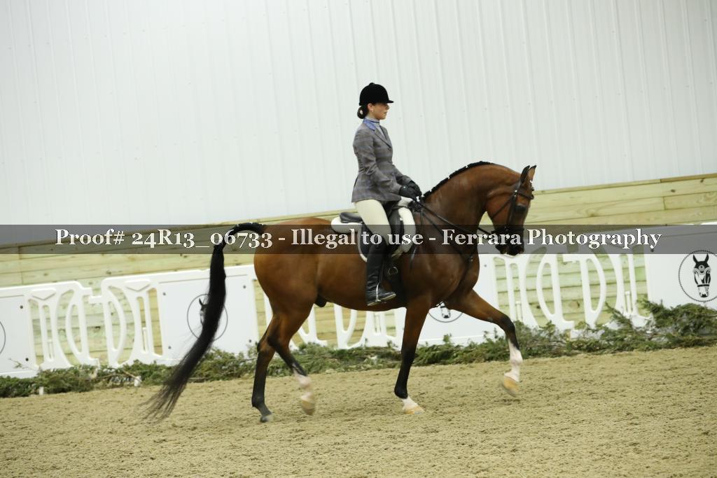 Proof 24R13_06733