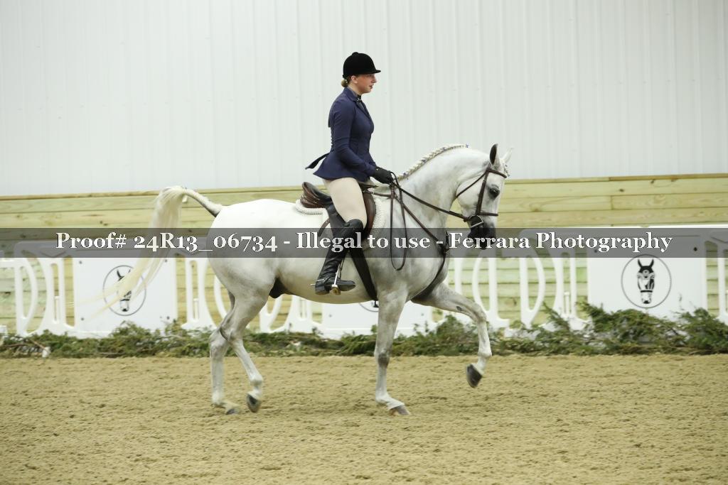 Proof 24R13_06734