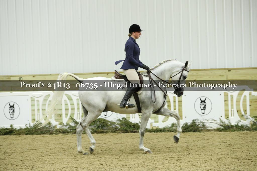 Proof 24R13_06735