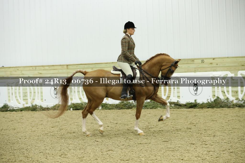 Proof 24R13_06736