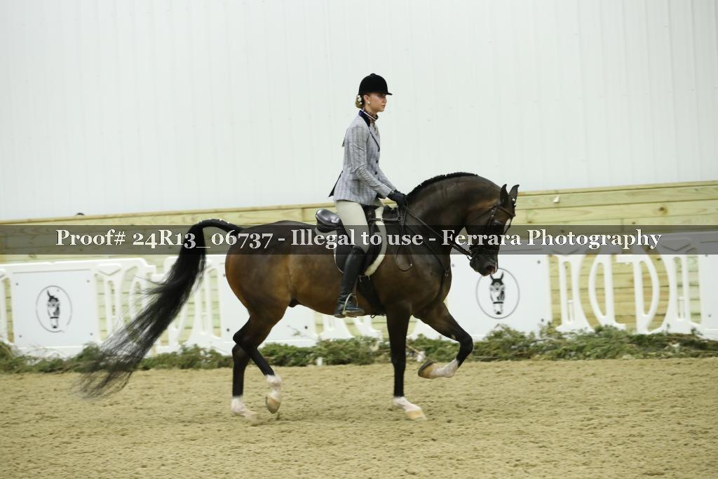 Proof 24R13_06737