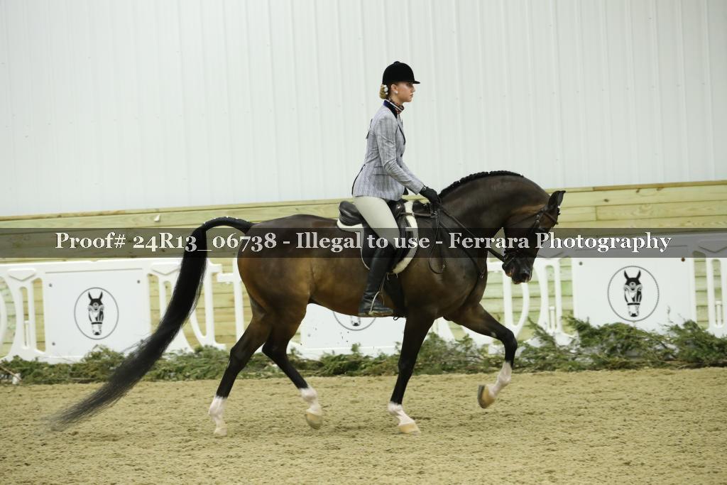 Proof 24R13_06738