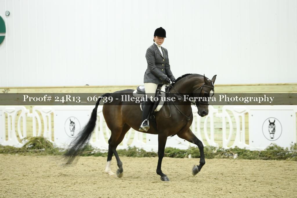Proof 24R13_06739