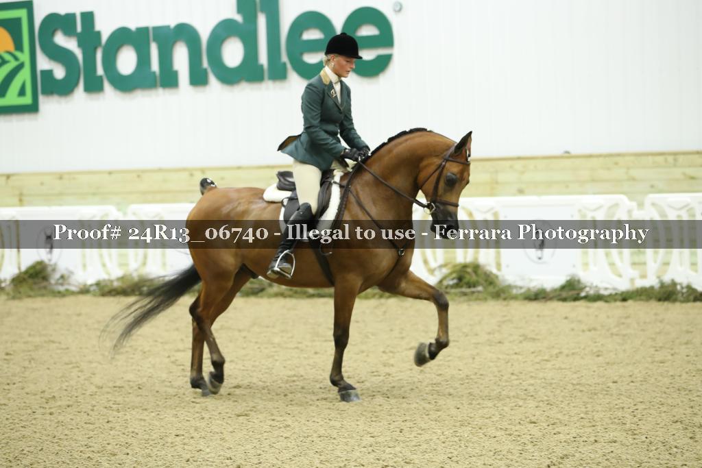 Proof 24R13_06740