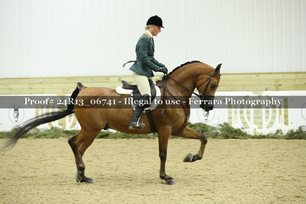 Proof 24R13_06741