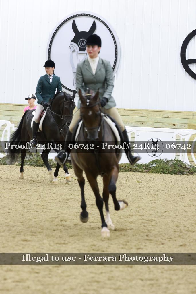 Proof 24R13_06742