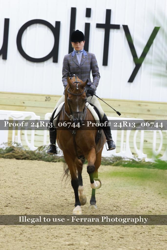 Proof 24R13_06744