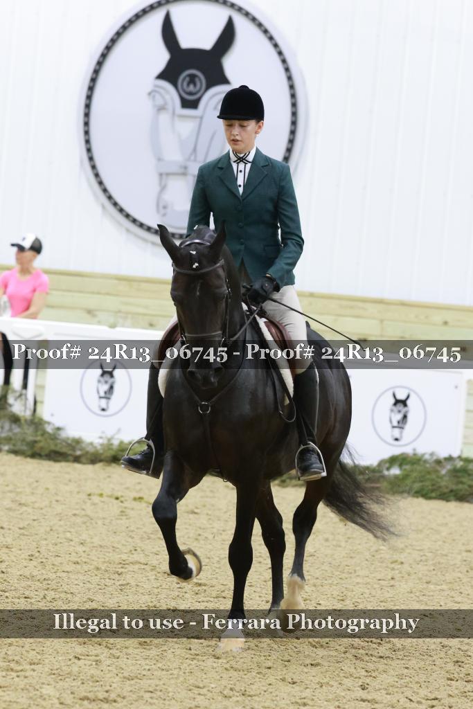 Proof 24R13_06745