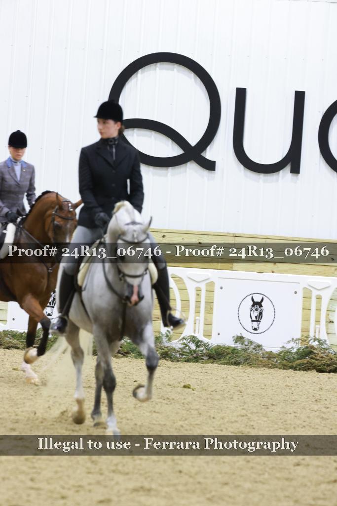 Proof 24R13_06746