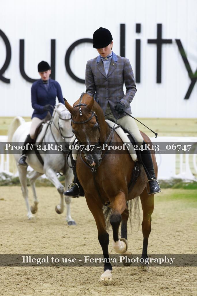 Proof 24R13_06747