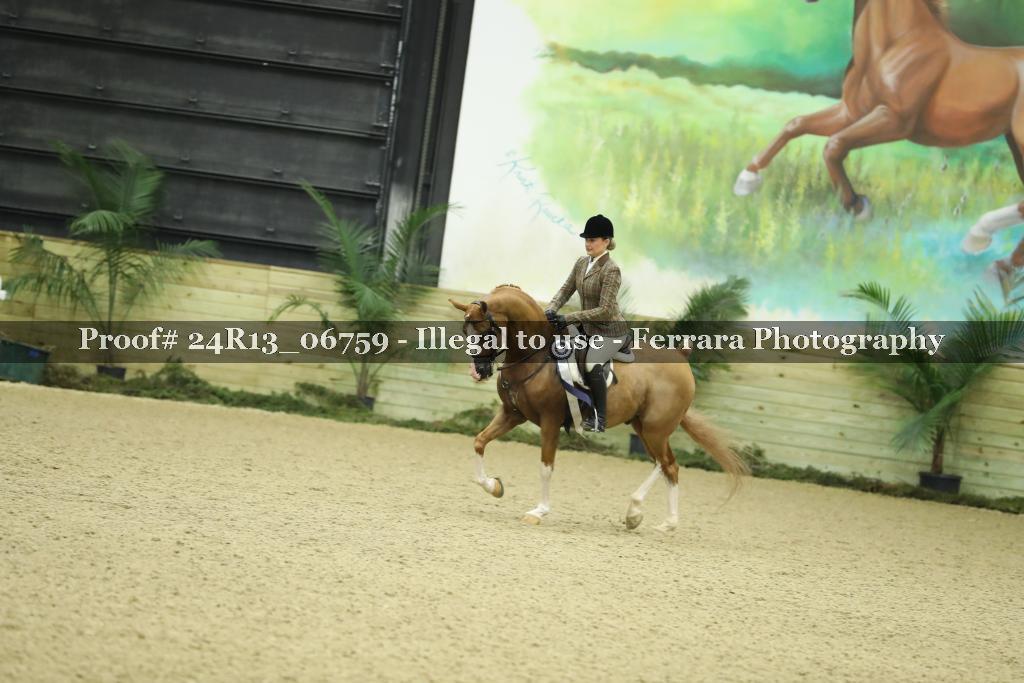 Proof 24R13_06759