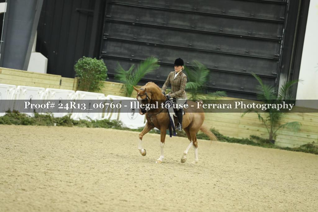 Proof 24R13_06760