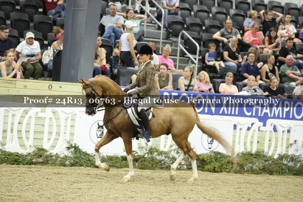 Proof 24R13_06763