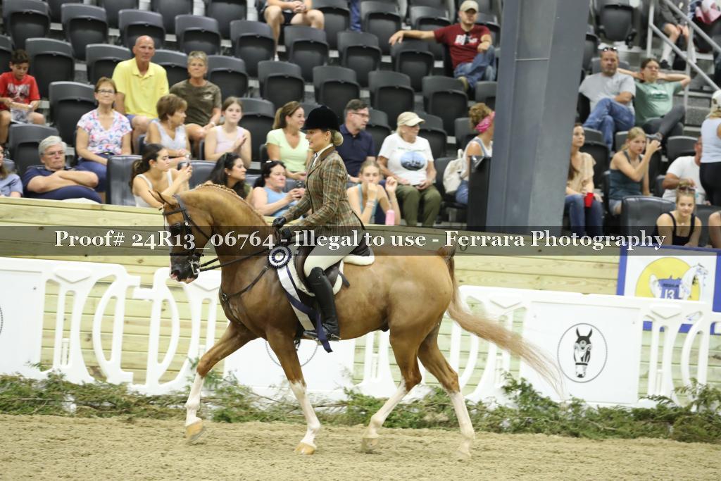 Proof 24R13_06764
