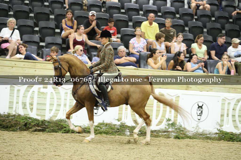 Proof 24R13_06765
