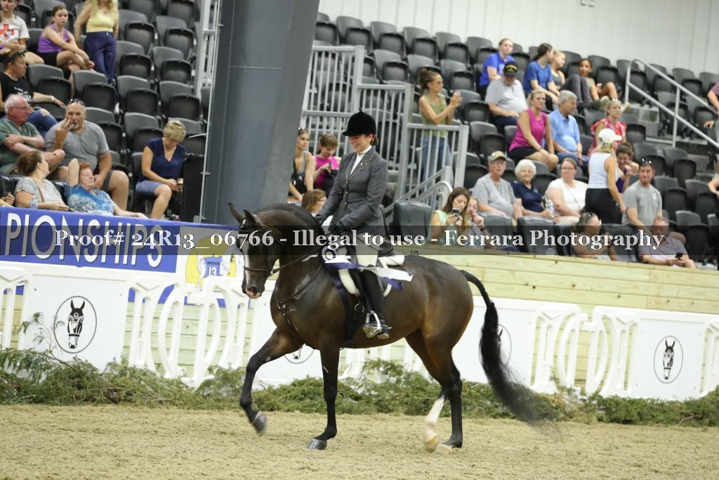 Proof 24R13_06766