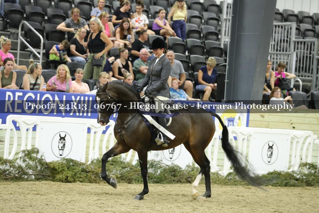 Proof 24R13_06767