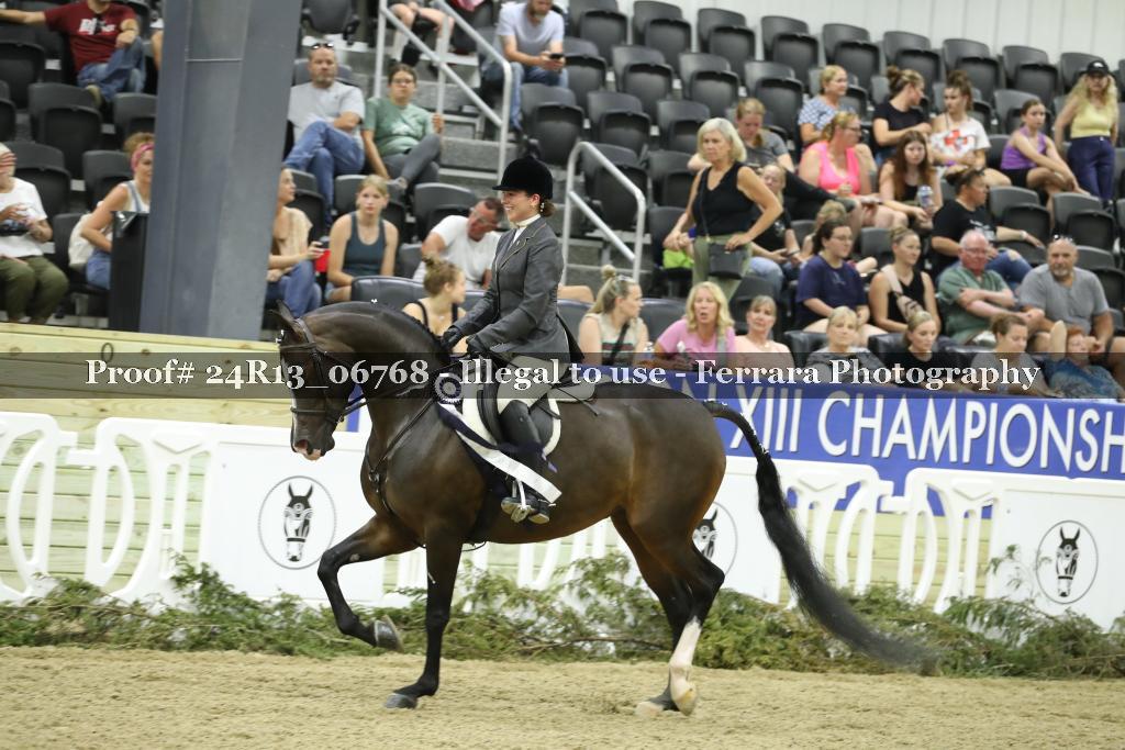 Proof 24R13_06768