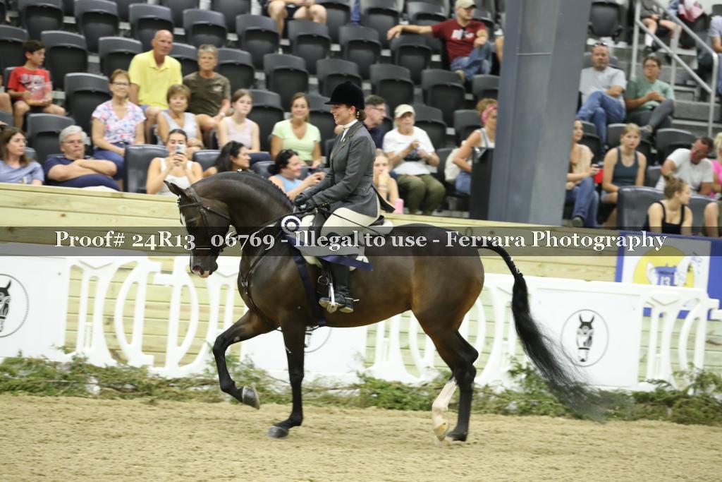 Proof 24R13_06769