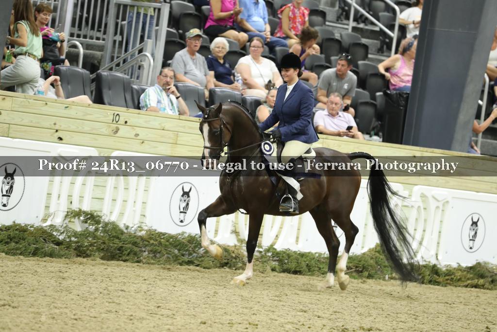 Proof 24R13_06770