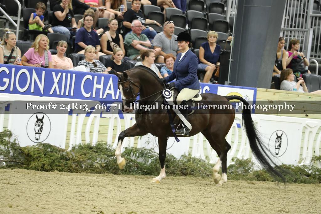 Proof 24R13_06771