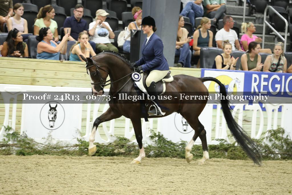 Proof 24R13_06773