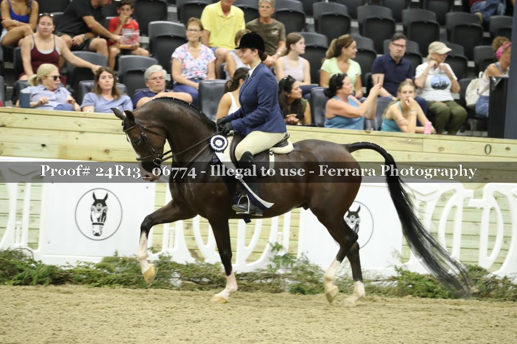 Proof 24R13_06774