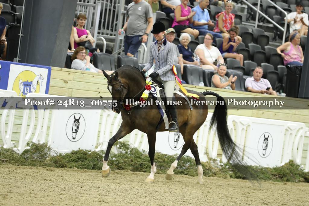 Proof 24R13_06775